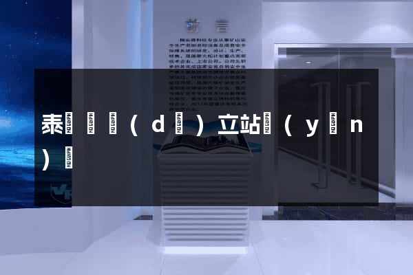 泰順縣獨(dú)立站運(yùn)營