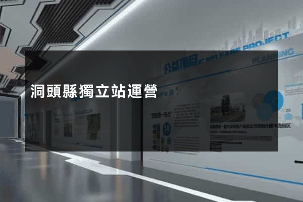 洞頭縣獨立站運營