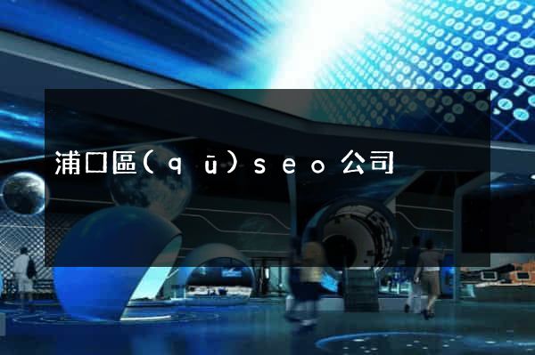 浦口區(qū)seo公司