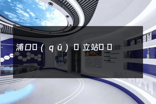 浦口區(qū)獨立站運營