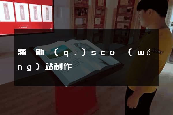 浦東新區(qū)seo網(wǎng)站制作