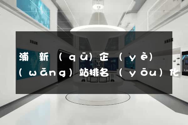 浦東新區(qū)企業(yè)網(wǎng)站排名優(yōu)化