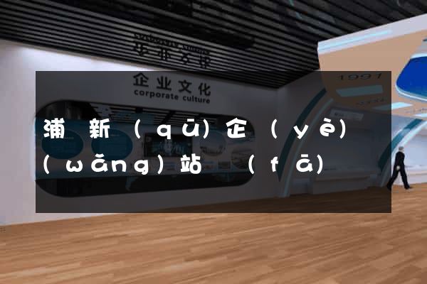 浦東新區(qū)企業(yè)網(wǎng)站開發(fā)