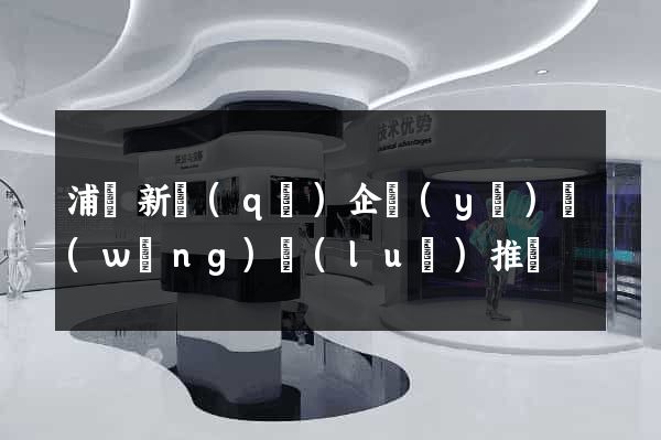 浦東新區(qū)企業(yè)網(wǎng)絡(luò)推廣