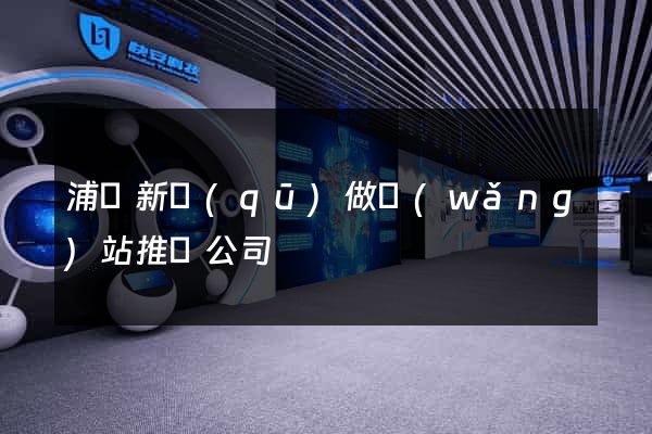 浦東新區(qū)做網(wǎng)站推廣公司