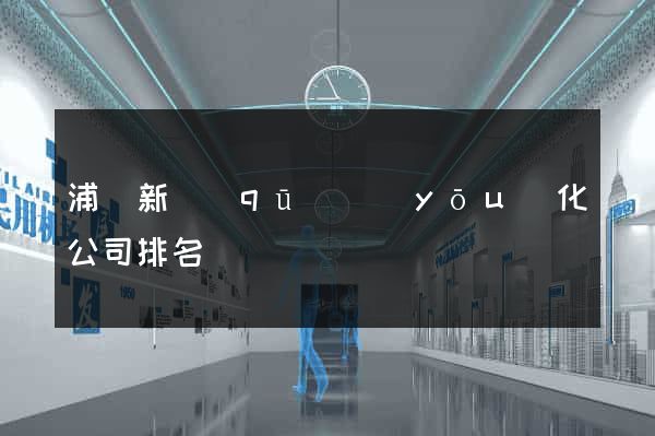 浦東新區(qū)優(yōu)化公司排名