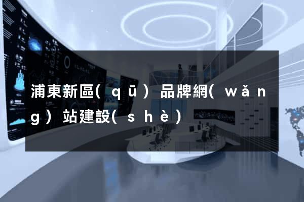 浦東新區(qū)品牌網(wǎng)站建設(shè)