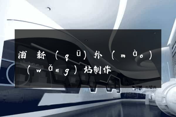 浦東新區(qū)外貿(mào)網(wǎng)站制作