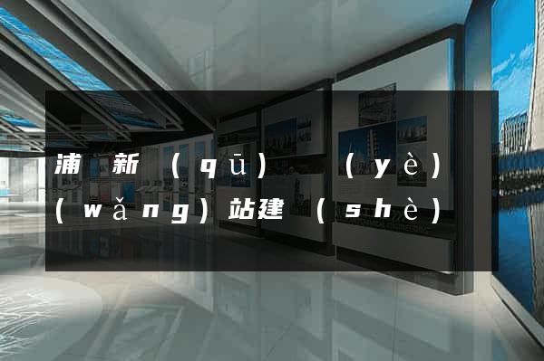 浦東新區(qū)專業(yè)網(wǎng)站建設(shè)