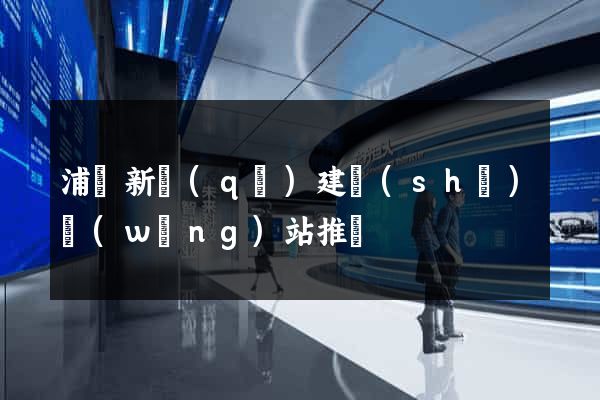 浦東新區(qū)建設(shè)網(wǎng)站推廣