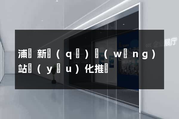 浦東新區(qū)網(wǎng)站優(yōu)化推廣