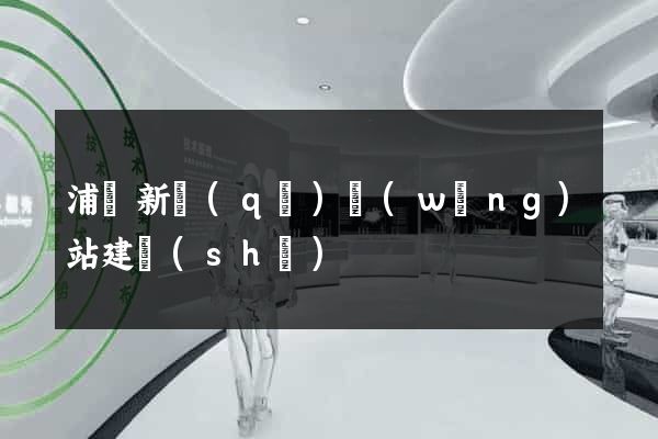 浦東新區(qū)網(wǎng)站建設(shè)