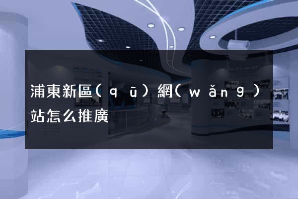 浦東新區(qū)網(wǎng)站怎么推廣