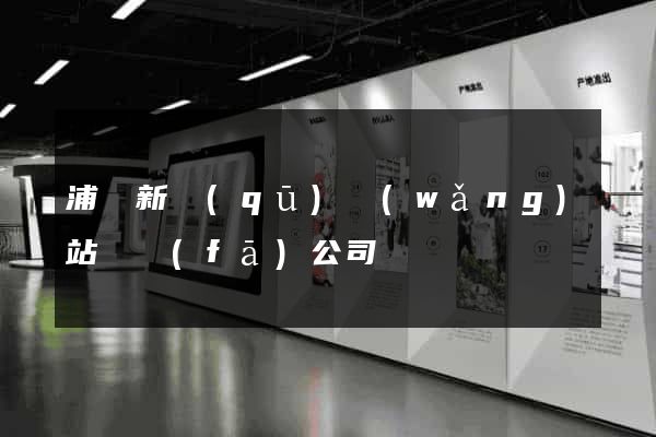 浦東新區(qū)網(wǎng)站開發(fā)公司