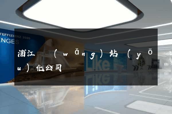 浦江縣網(wǎng)站優(yōu)化公司
