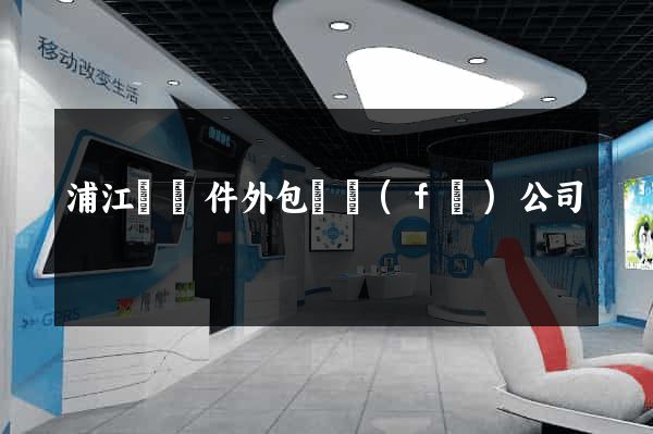 浦江縣軟件外包開發(fā)公司