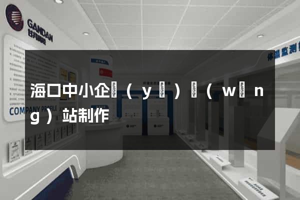 海口中小企業(yè)網(wǎng)站制作