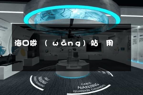 海口做網(wǎng)站費用