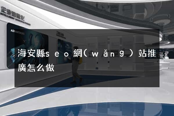 海安縣seo網(wǎng)站推廣怎么做