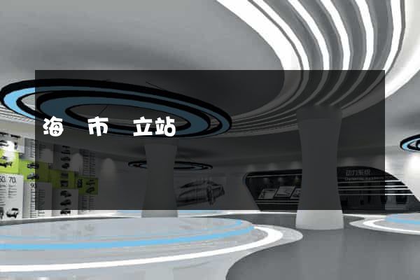 海寧市獨立站運營
