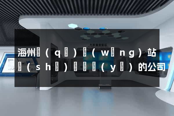 海州區(qū)網(wǎng)站設(shè)計專業(yè)的公司