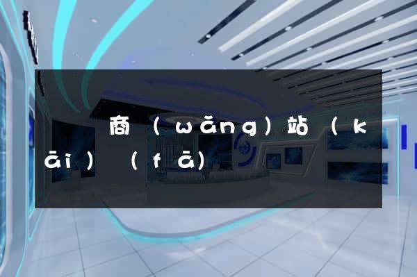 涇縣電商網(wǎng)站開(kāi)發(fā)