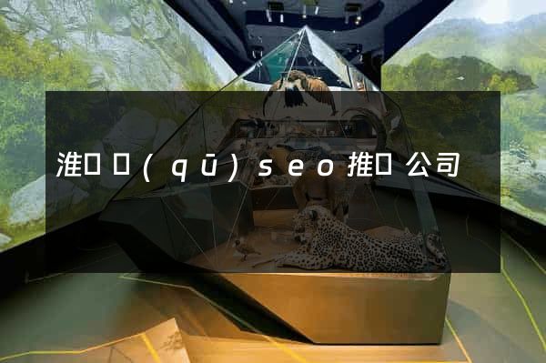 淮陰區(qū)seo推廣公司