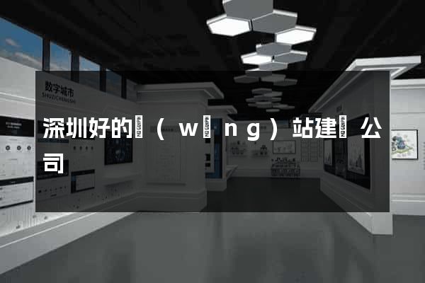 深圳好的網(wǎng)站建設公司
