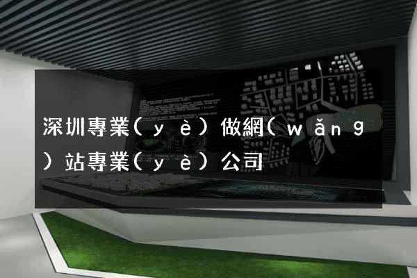 深圳專業(yè)做網(wǎng)站專業(yè)公司