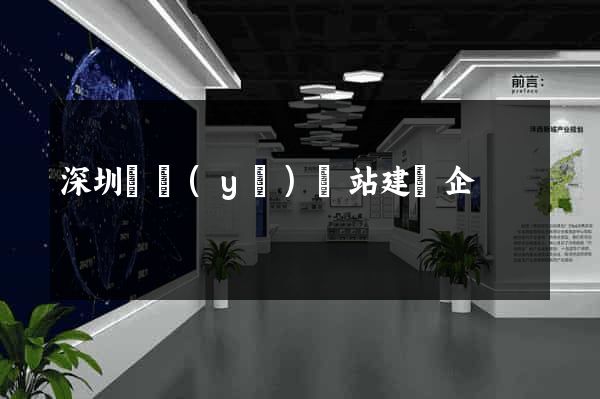 深圳專業(yè)網站建設企
