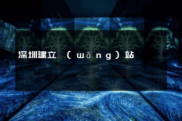 深圳建立網(wǎng)站