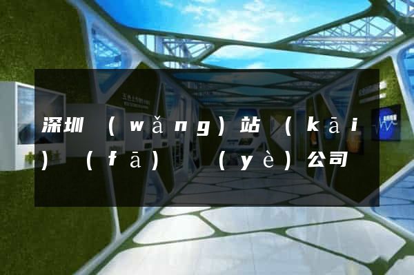 深圳網(wǎng)站開(kāi)發(fā)專業(yè)公司