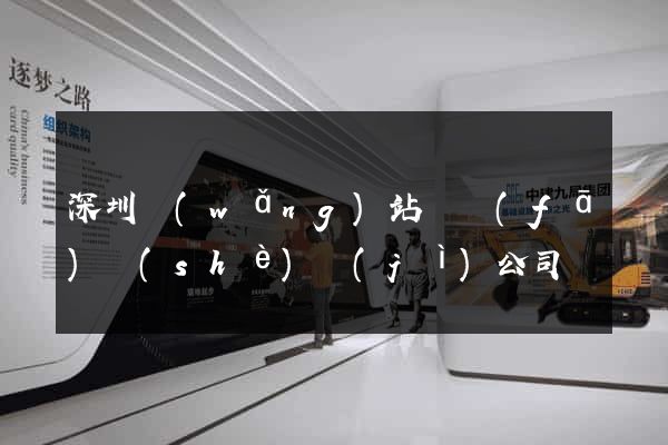 深圳網(wǎng)站開發(fā)設(shè)計(jì)公司