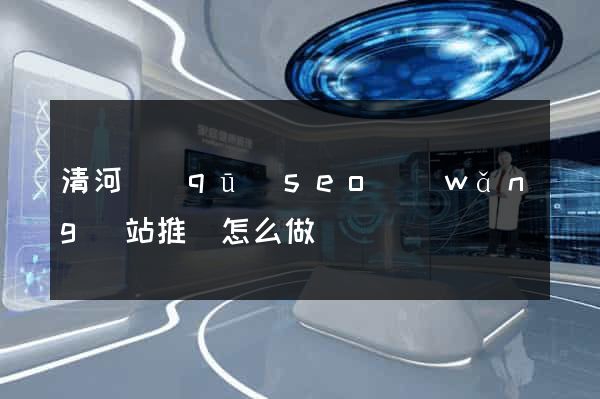清河區(qū)seo網(wǎng)站推廣怎么做