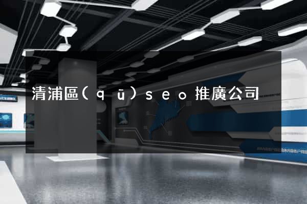 清浦區(qū)seo推廣公司