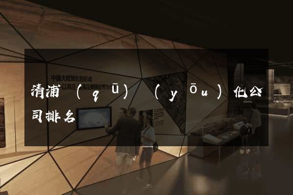 清浦區(qū)優(yōu)化公司排名