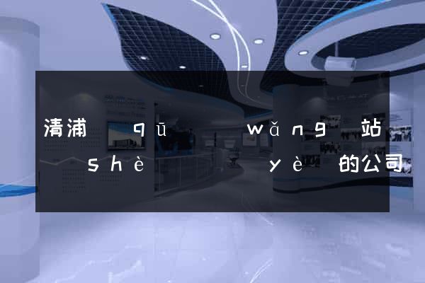 清浦區(qū)網(wǎng)站設(shè)計專業(yè)的公司