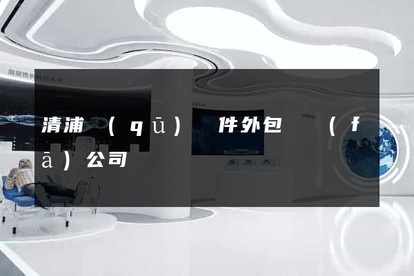 清浦區(qū)軟件外包開發(fā)公司