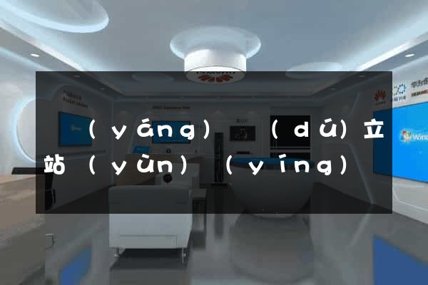 渦陽(yáng)縣獨(dú)立站運(yùn)營(yíng)