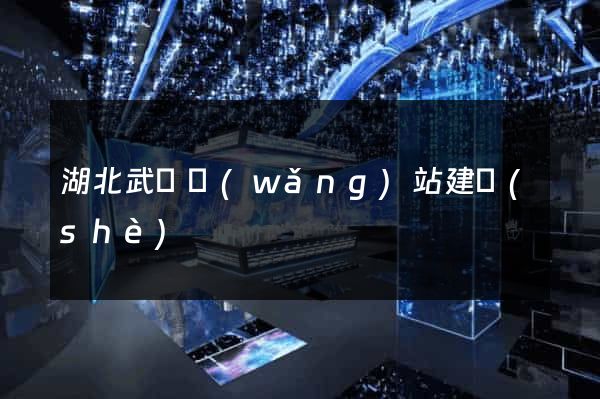 湖北武漢網(wǎng)站建設(shè)