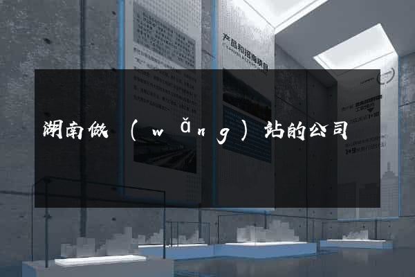 湖南做網(wǎng)站的公司
