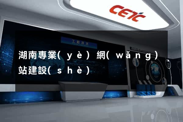 湖南專業(yè)網(wǎng)站建設(shè)