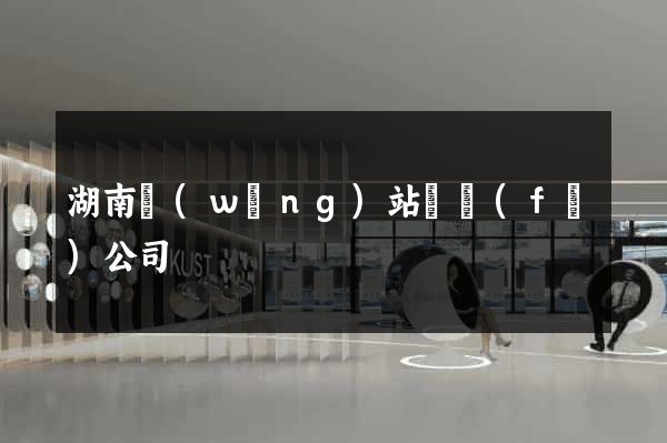 湖南網(wǎng)站開發(fā)公司