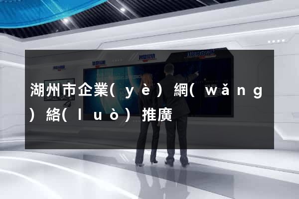 湖州市企業(yè)網(wǎng)絡(luò)推廣