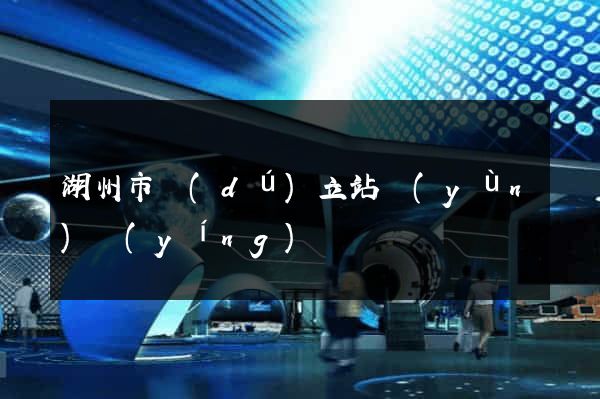 湖州市獨(dú)立站運(yùn)營(yíng)