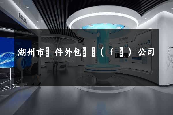 湖州市軟件外包開發(fā)公司