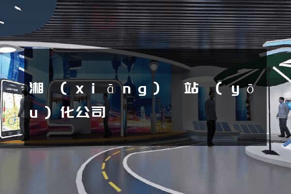 湘鄉(xiāng)網站優(yōu)化公司