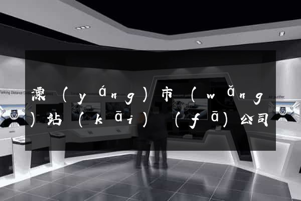 溧陽(yáng)市網(wǎng)站開(kāi)發(fā)公司