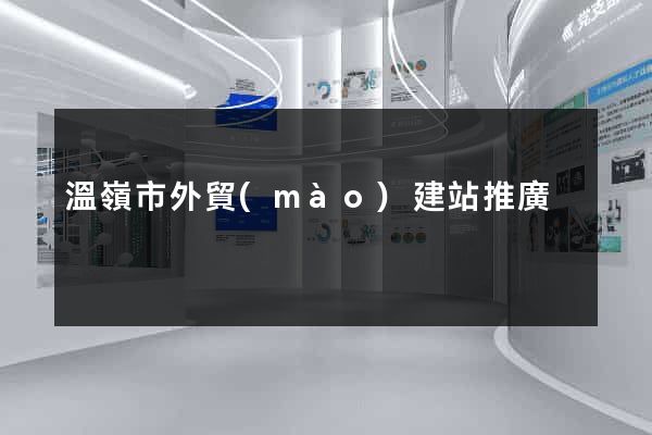 溫嶺市外貿(mào)建站推廣