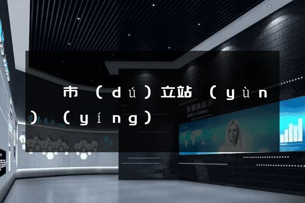溫嶺市獨(dú)立站運(yùn)營(yíng)